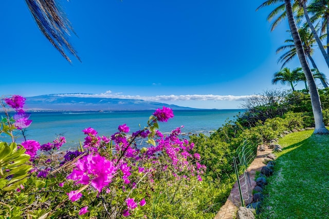 property view of water featuring a mountain view