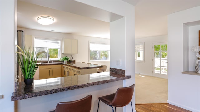 kitchen featuring a sink, light wood finished floors, dark stone counters, and a healthy amount of sunlight