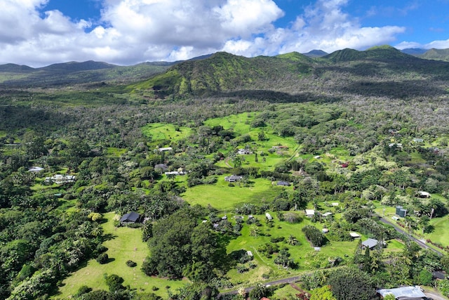 bird's eye view with a mountain view