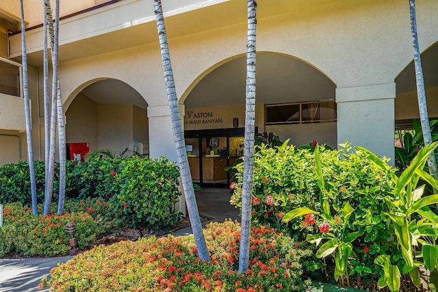doorway to property with stucco siding