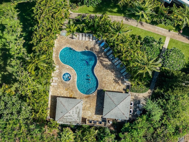 aerial view
