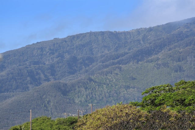 view of mountain feature with a wooded view