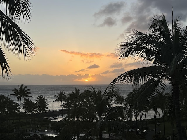 property view of water