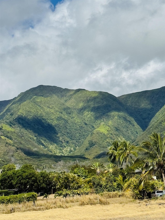 1368 Malaihi Rd, Wailuku, HI 96793 - view of mountain backdrop