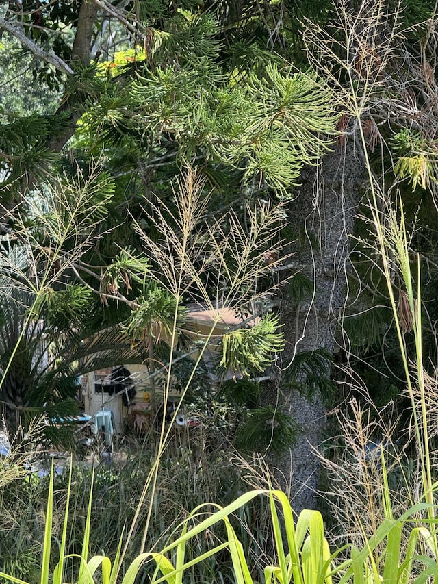 1368 Malaihi Rd, Wailuku, HI 96793 - view of undeveloped land