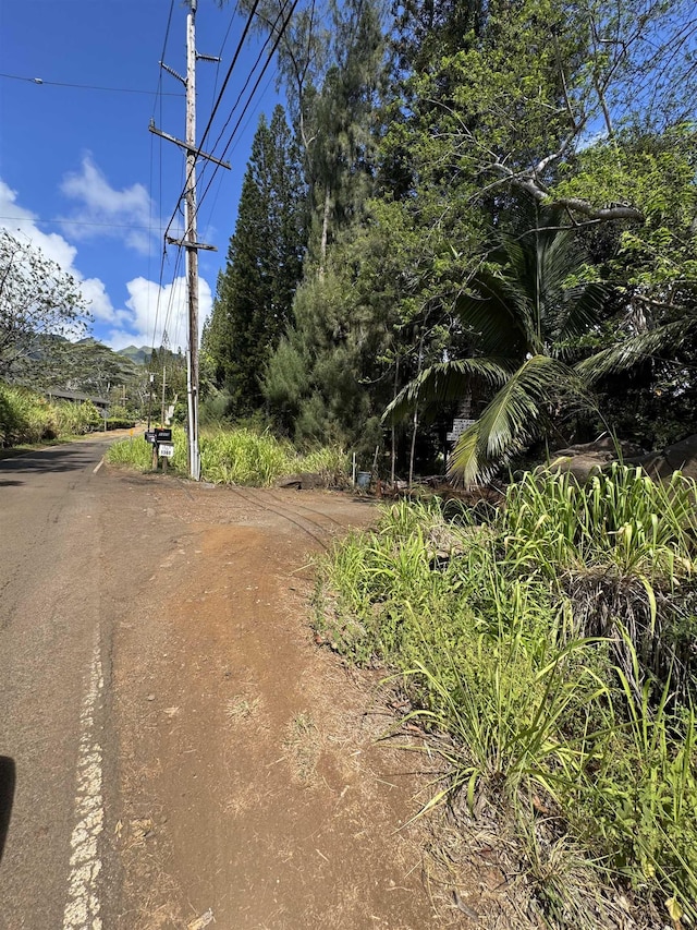 1368 Malaihi Rd, Wailuku, HI 96793 - view of asphalt street