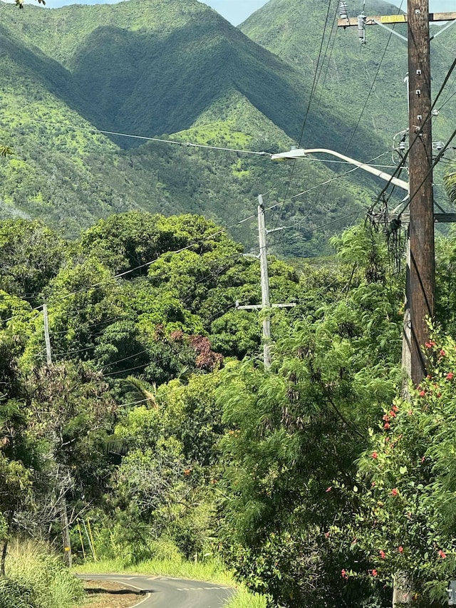 1368 Malaihi Rd, Wailuku, HI 96793 - view of mountain backdrop