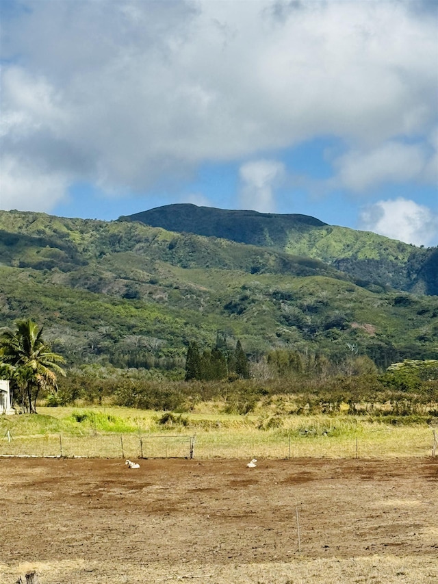 1368 Malaihi Rd, Wailuku, HI 96793 - mountain view