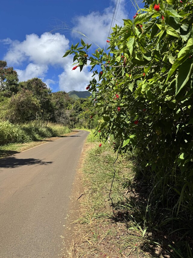 1368 Malaihi Rd, Wailuku, HI 96793 - view of asphalt street