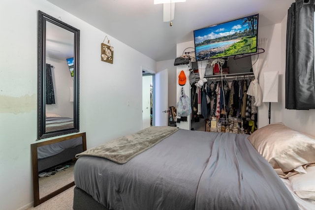 carpeted bedroom featuring a closet