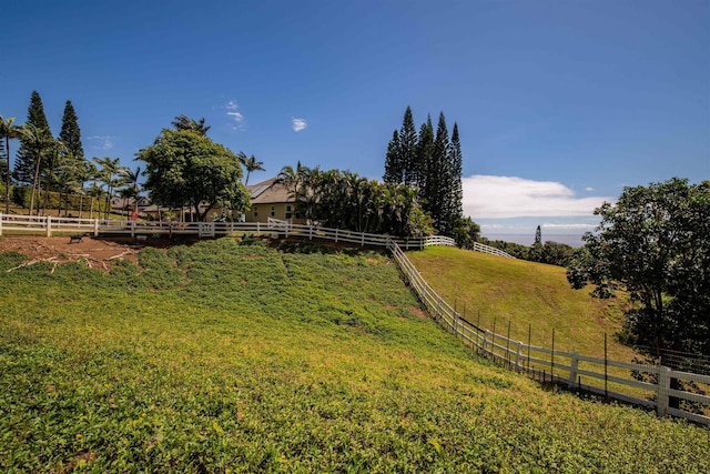 view of yard with a rural view