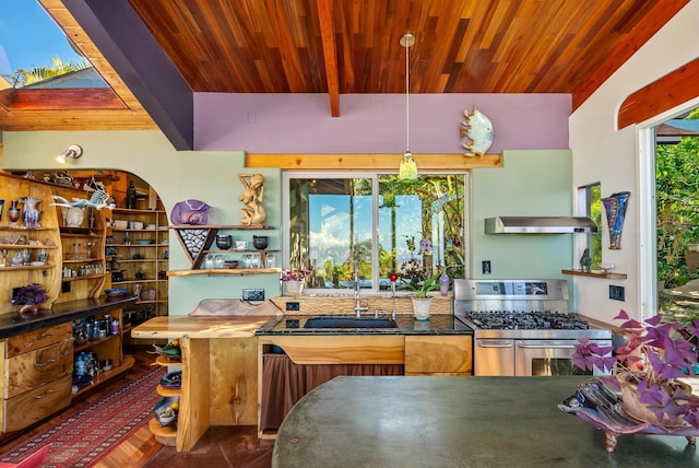 kitchen with gas range, sink, a healthy amount of sunlight, and extractor fan