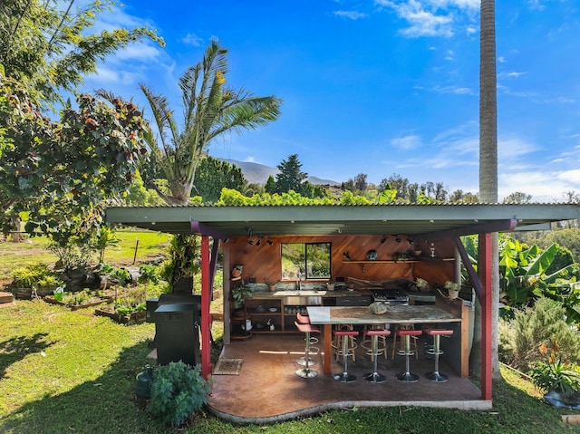 rear view of house with an outdoor kitchen, a mountain view, and a wet bar