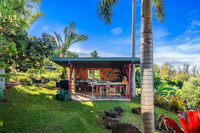 exterior space featuring a yard and an outdoor bar