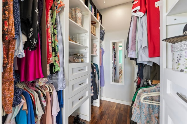 walk in closet featuring dark wood-style floors