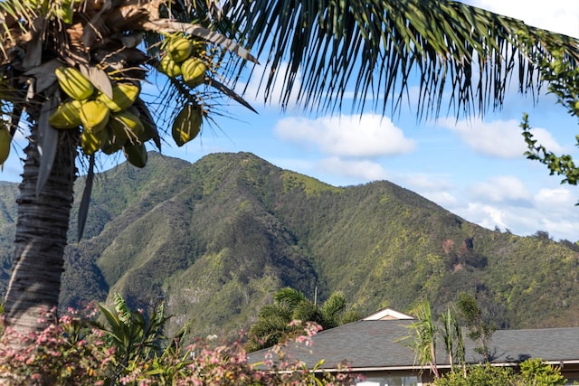 view of mountain feature