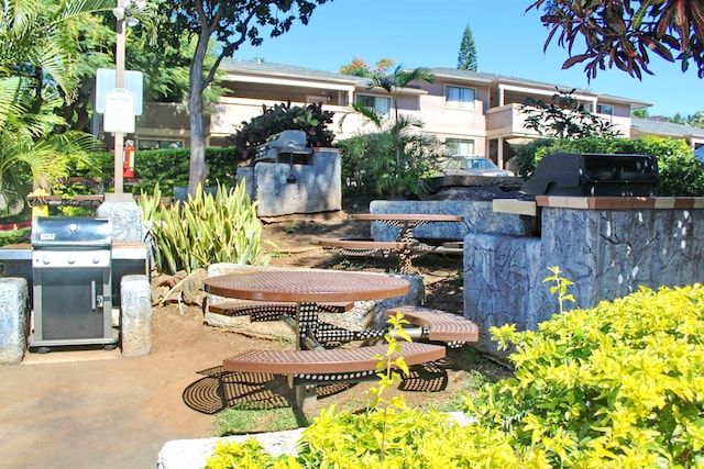 view of yard featuring a patio