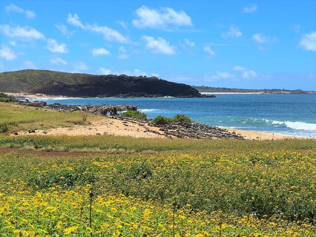 view of water view