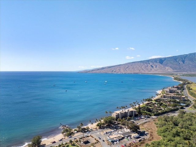 water view featuring a mountain view