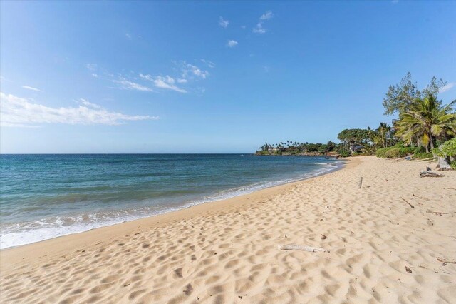 property view of water featuring a beach view