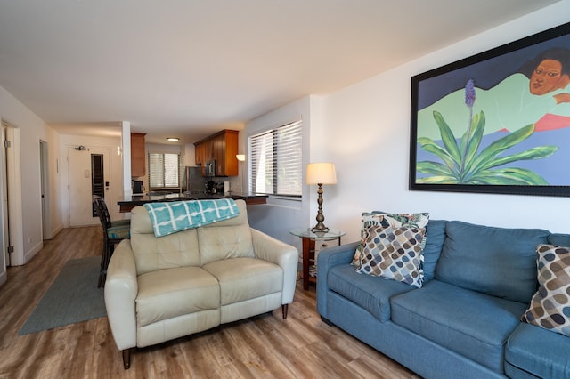 living room featuring light hardwood / wood-style flooring