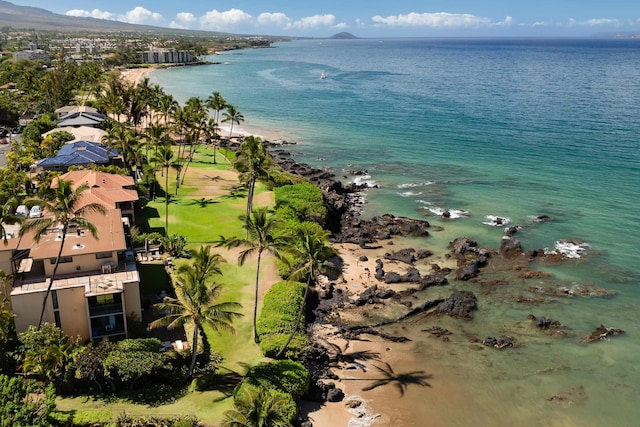 2142 Iliili Rd Unit 303, Kihei, HI 96753 - bird's eye view of a large body of water