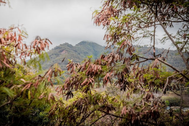 view of mountain feature