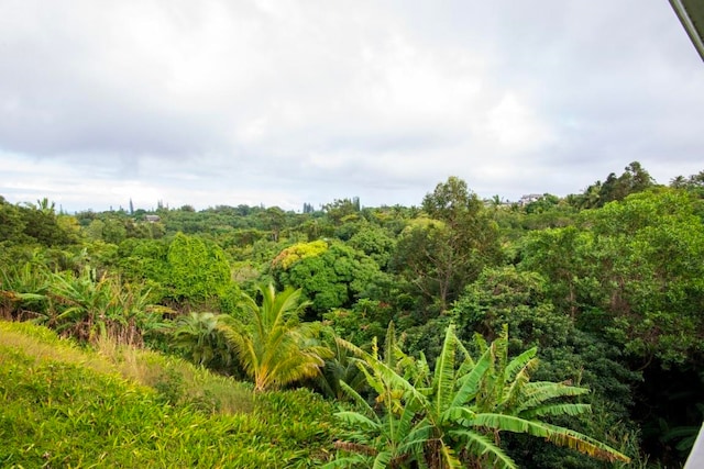 view of nature featuring a forest view