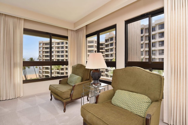 living area featuring a wealth of natural light and carpet flooring