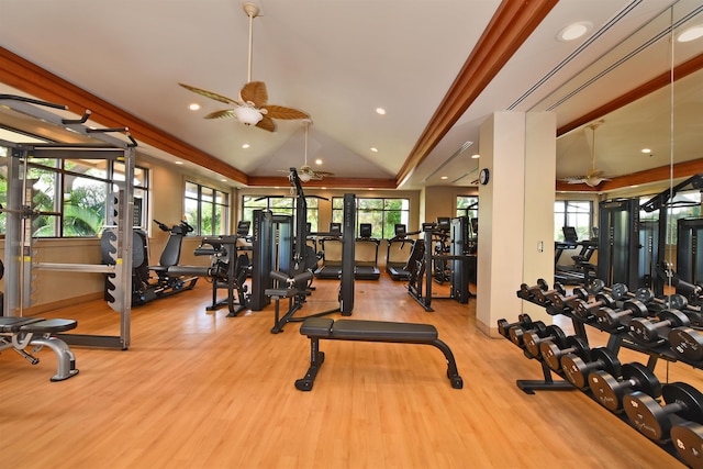 exercise room with a wealth of natural light, ceiling fan, and light wood-type flooring