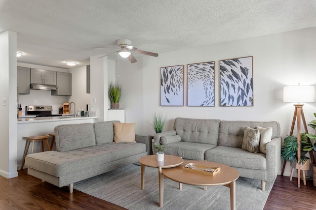 living room featuring a textured ceiling, dark hardwood / wood-style floors, and sink