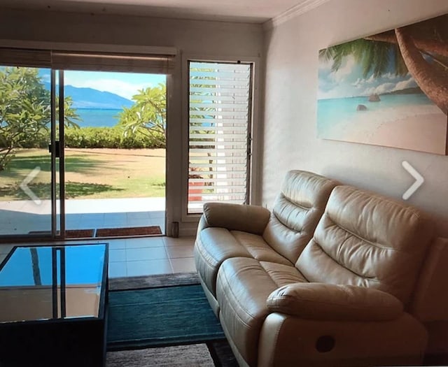 tiled living room with ornamental molding and a mountain view