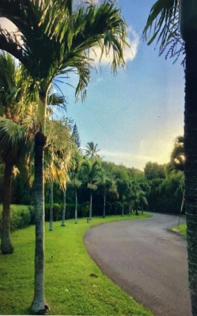 view of home's community featuring a yard