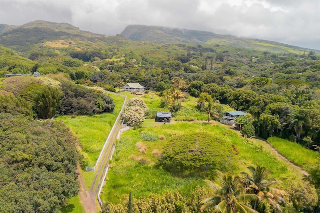 drone / aerial view with a forest view and a mountain view