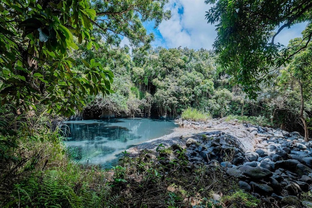 view of pool with a forest view