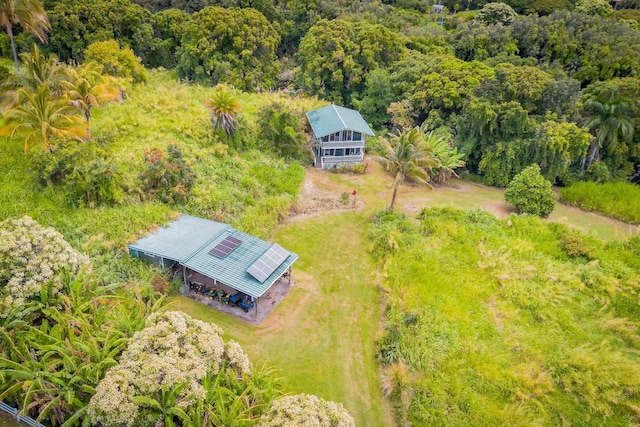 aerial view with a forest view