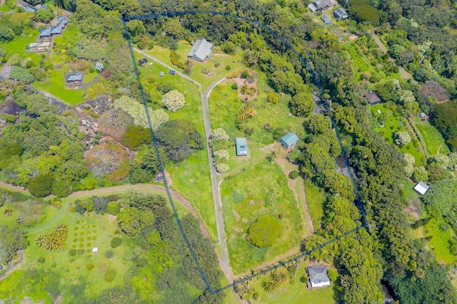 drone / aerial view