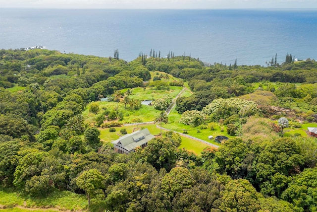 aerial view featuring a water view and a view of trees