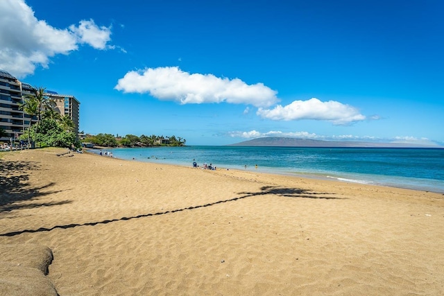 water view with a view of the beach