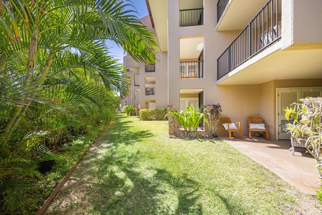 view of yard featuring a patio