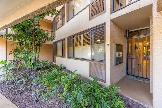 entrance to property featuring stucco siding