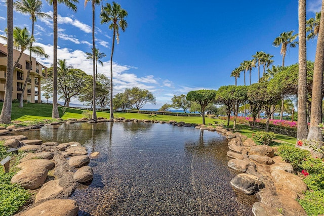 view of water feature