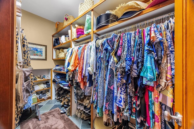 view of walk in closet