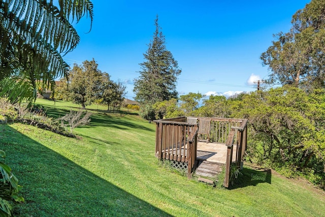 view of yard featuring a wooden deck