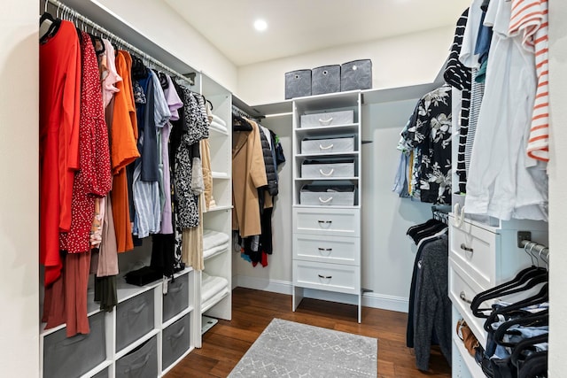 spacious closet with dark wood-type flooring