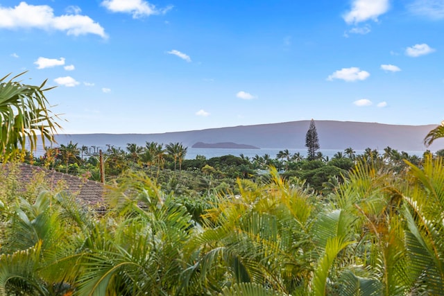 property view of mountains featuring a water view