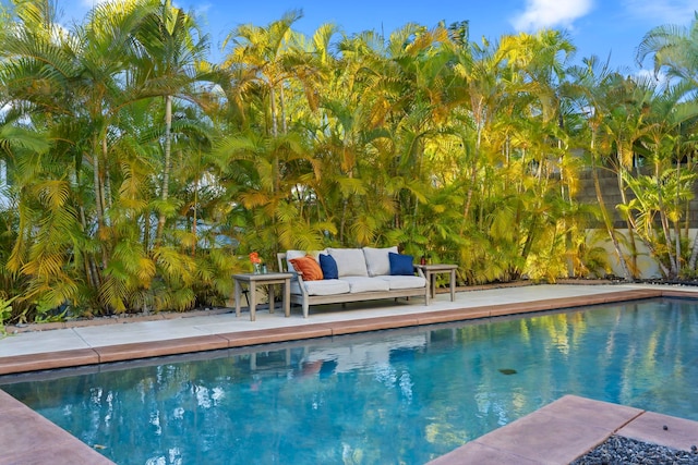 view of pool featuring a patio area and outdoor lounge area