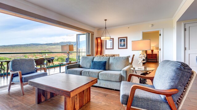 130 Kai Malina Pkwy Unit Nr1026, Lahaina, HI 96761 - living area featuring wood finished floors and ornamental molding