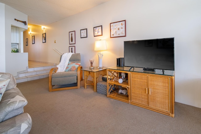 carpeted living room with a textured ceiling