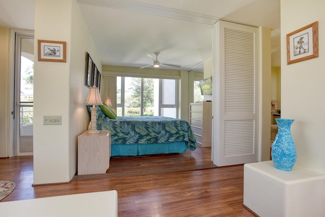 bedroom featuring dark hardwood / wood-style floors and ceiling fan